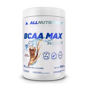 BCAA Max Support - 500g Apple 100-95-6809729-20 фото